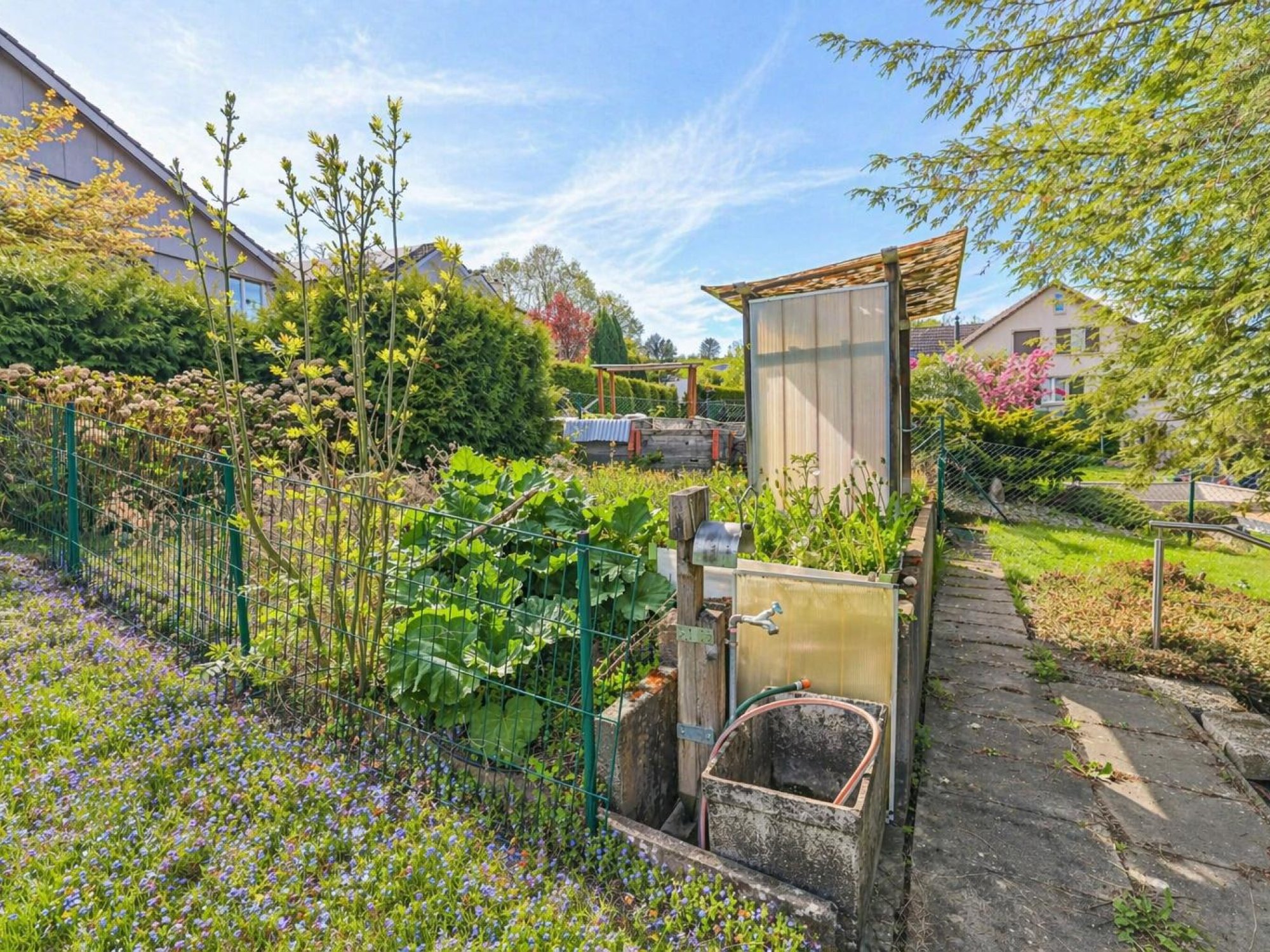 Gepflegter Garten mit Gemüsebeet und Wasserstelle