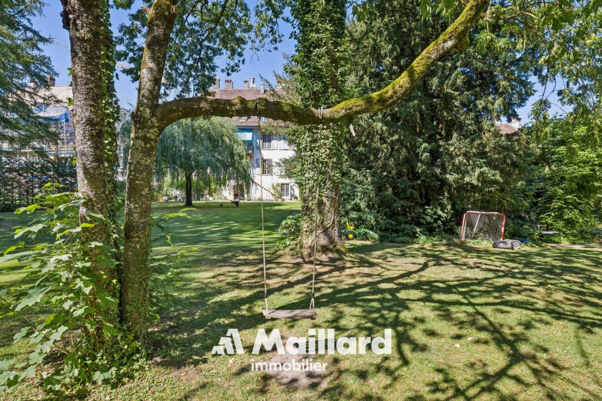Großer Garten mit Schaukel und umgebenden Bäumen