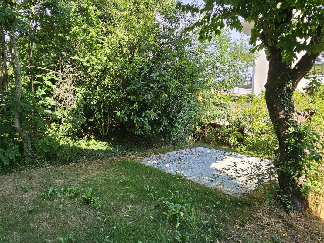 Garten mit gepflasterter Fläche