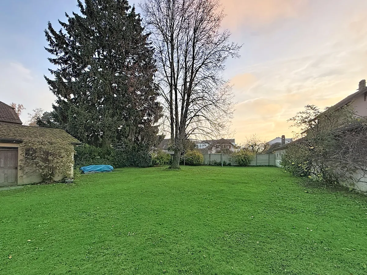 Großer Garten mit Rasenfläche