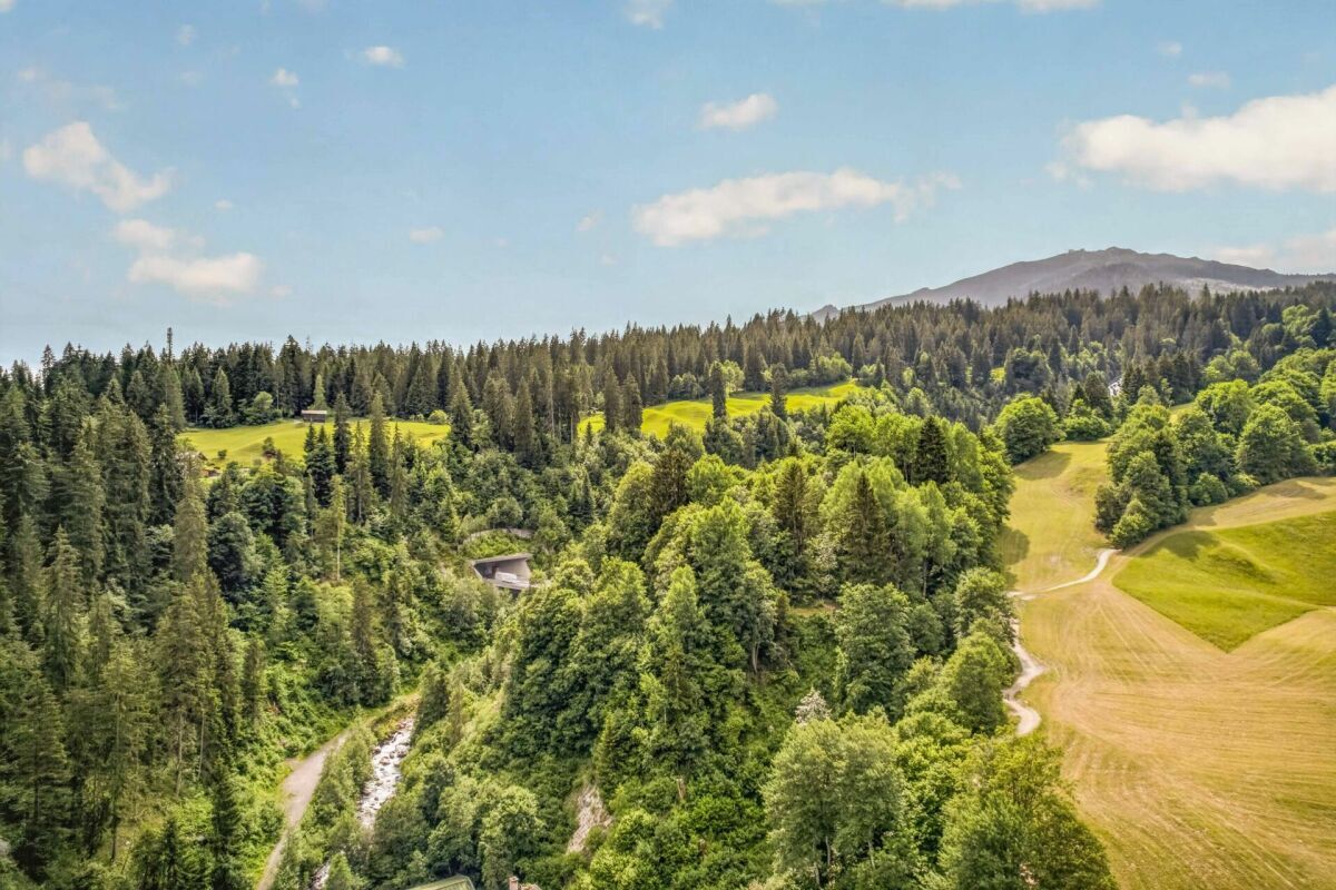 Landschaft mit Wald und Wiesen