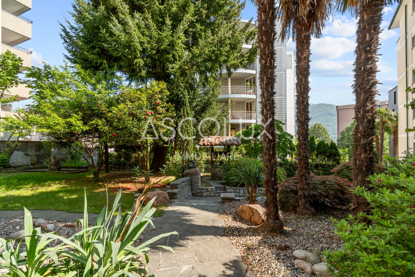 Gemeinschaftsgarten mit mediterraner Bepflanzung