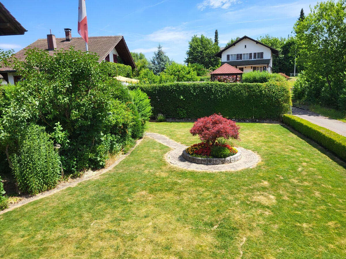 Gepflegter Garten mit Zierbaum und Einfamilienhäusern