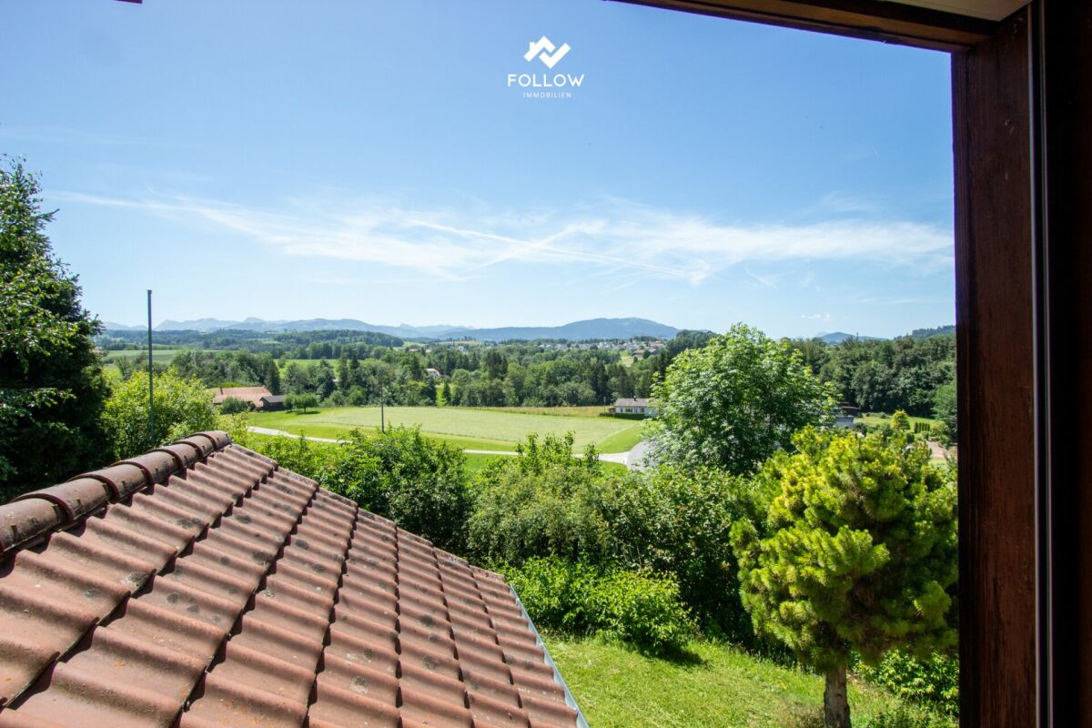 Blick ins Grüne vom Fenster