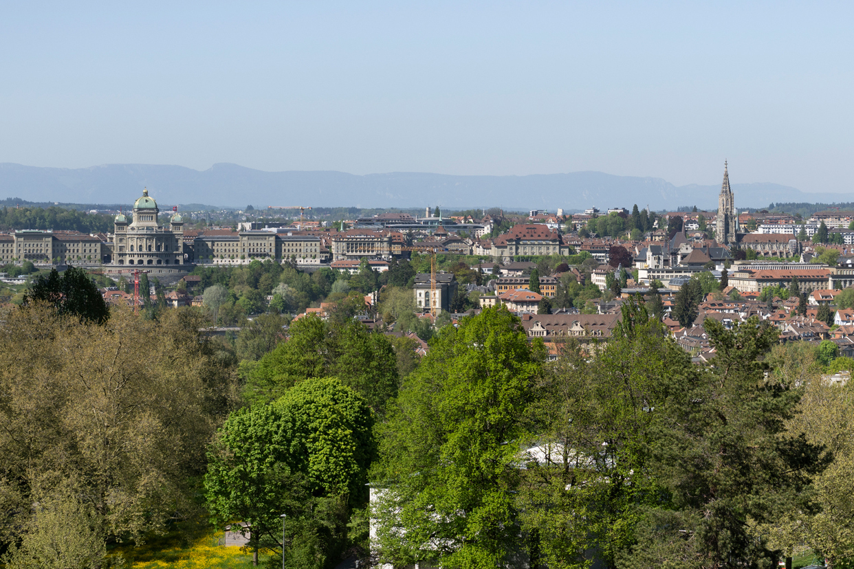 Stadtpanorama mit Blick auf historische Gebäude und Türme