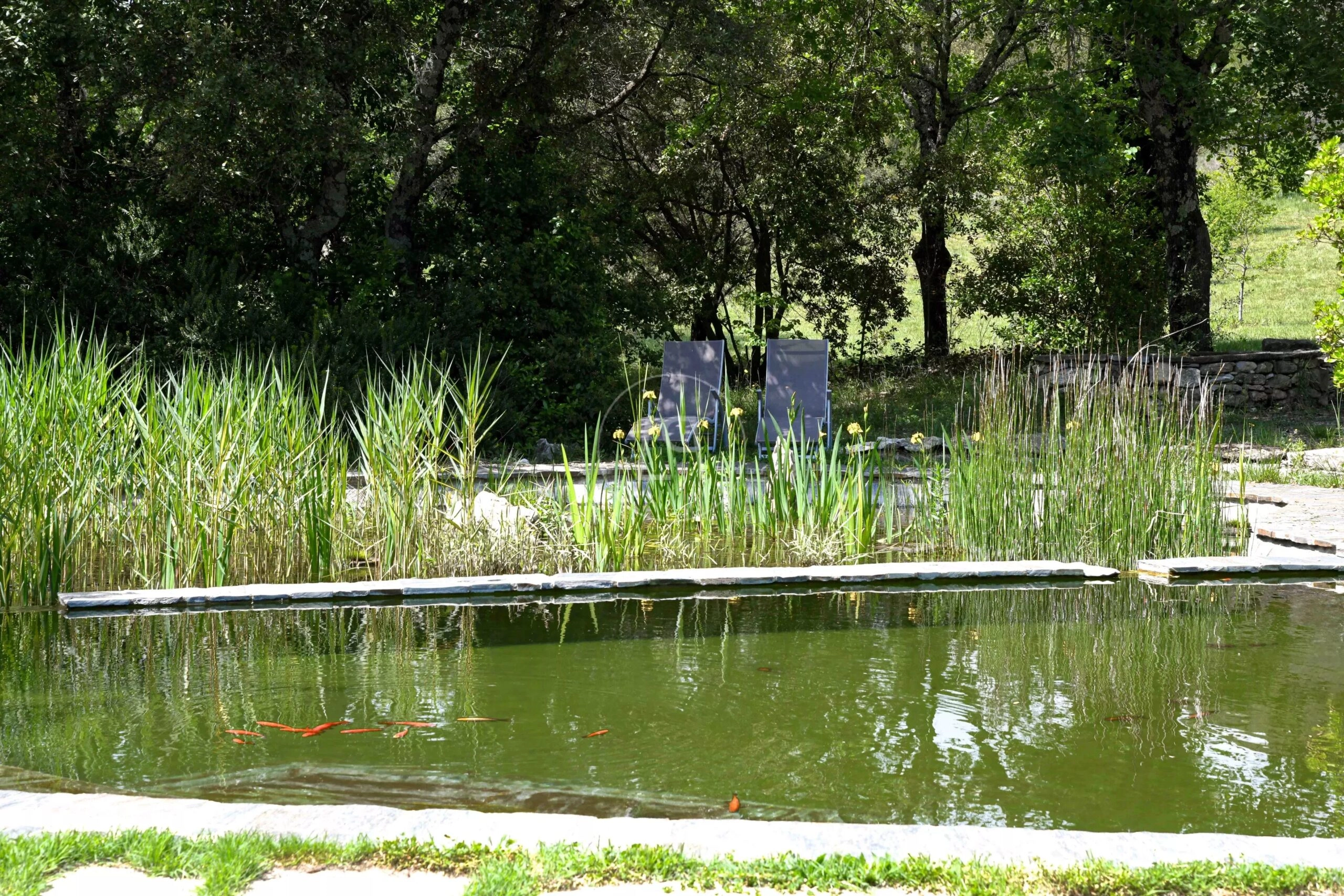 Gartenteich mit Sitzbereich