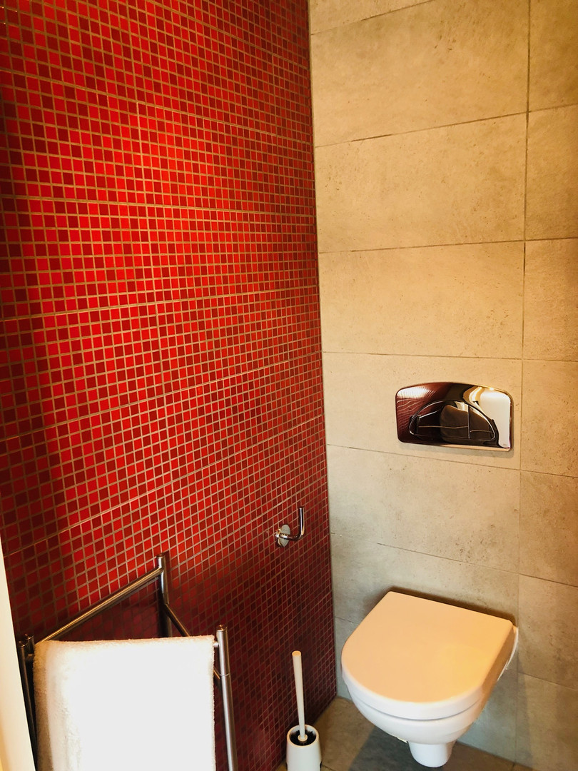 Modernes Gäste-WC mit roter Mosaikwand und Natursteinverkleidung