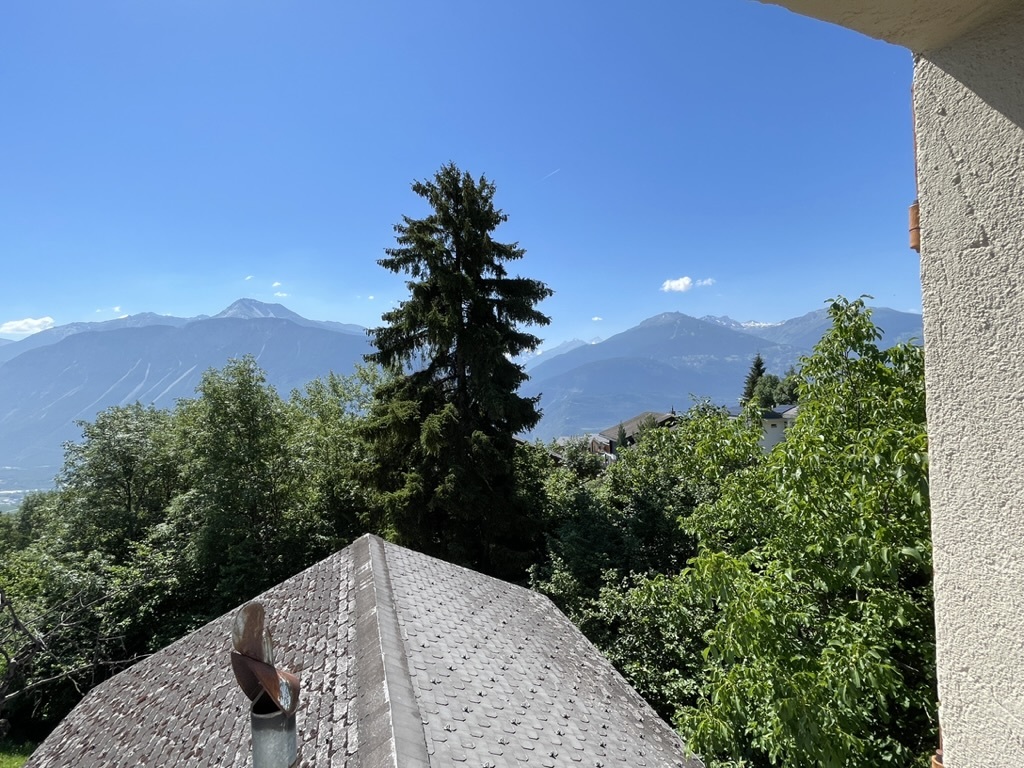 Bergblick über ein Dach und viel Grün
