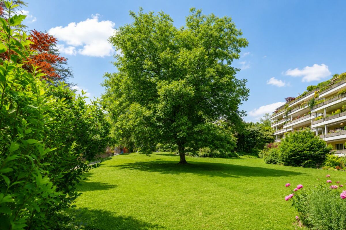 Grüne Gartenanlage mit Wohngebäude