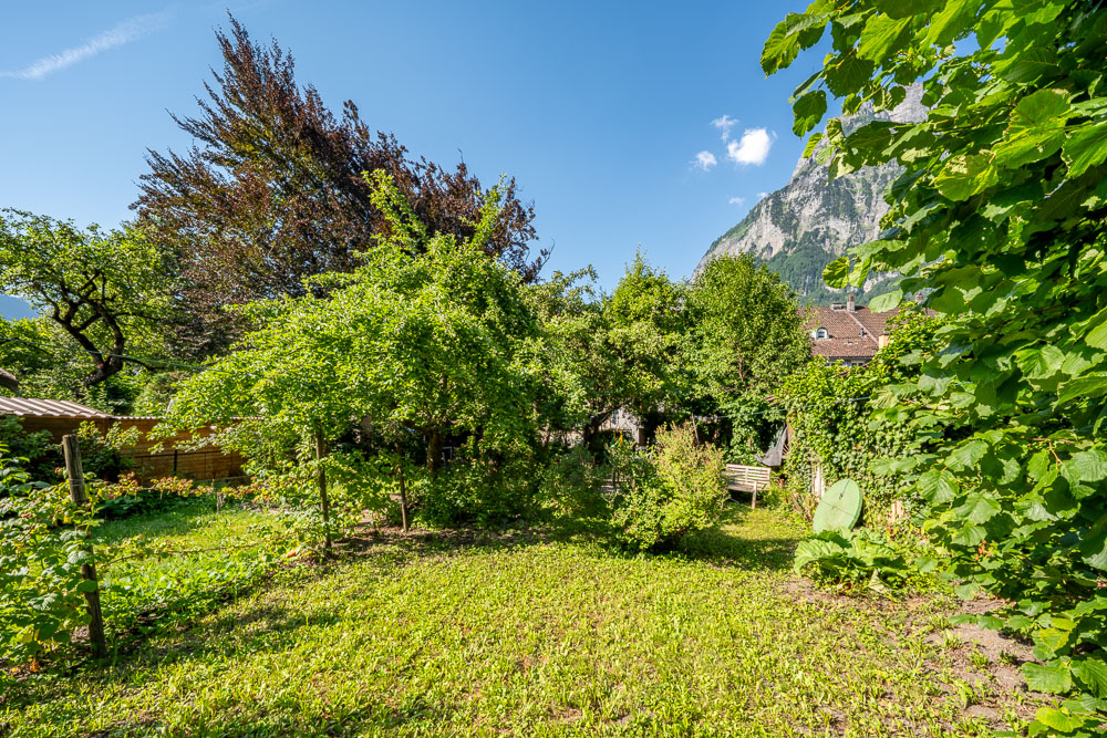 Garten mit Bergkulisse