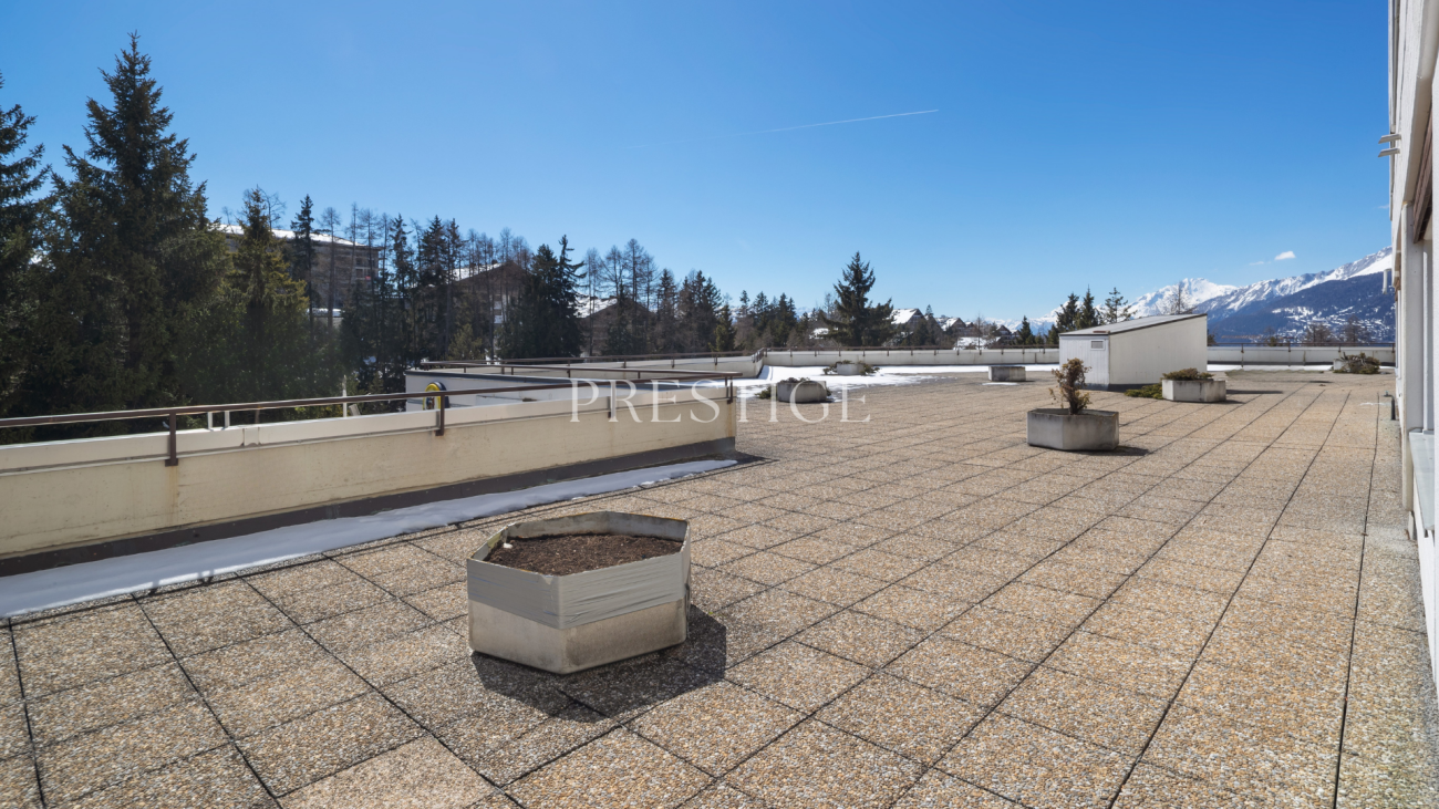 Große Dachterrasse mit Alpenblick
