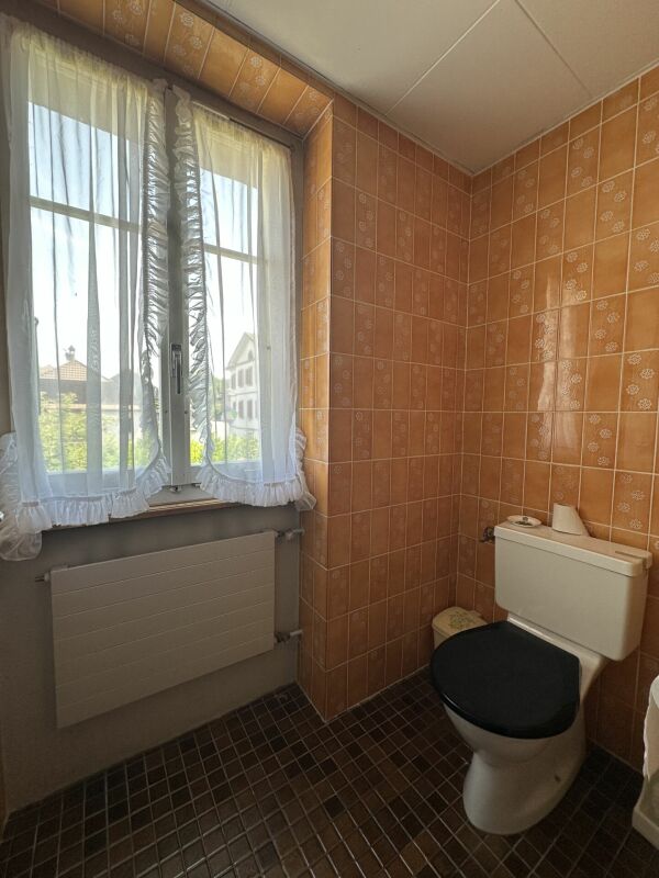 Kompaktes Gäste-WC mit Retro-Kacheln