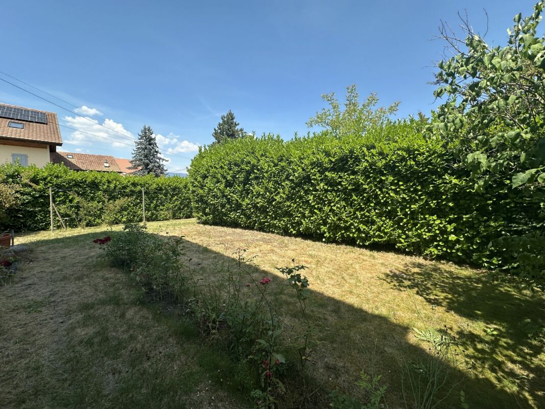 Garten mit Rasen und Hecken