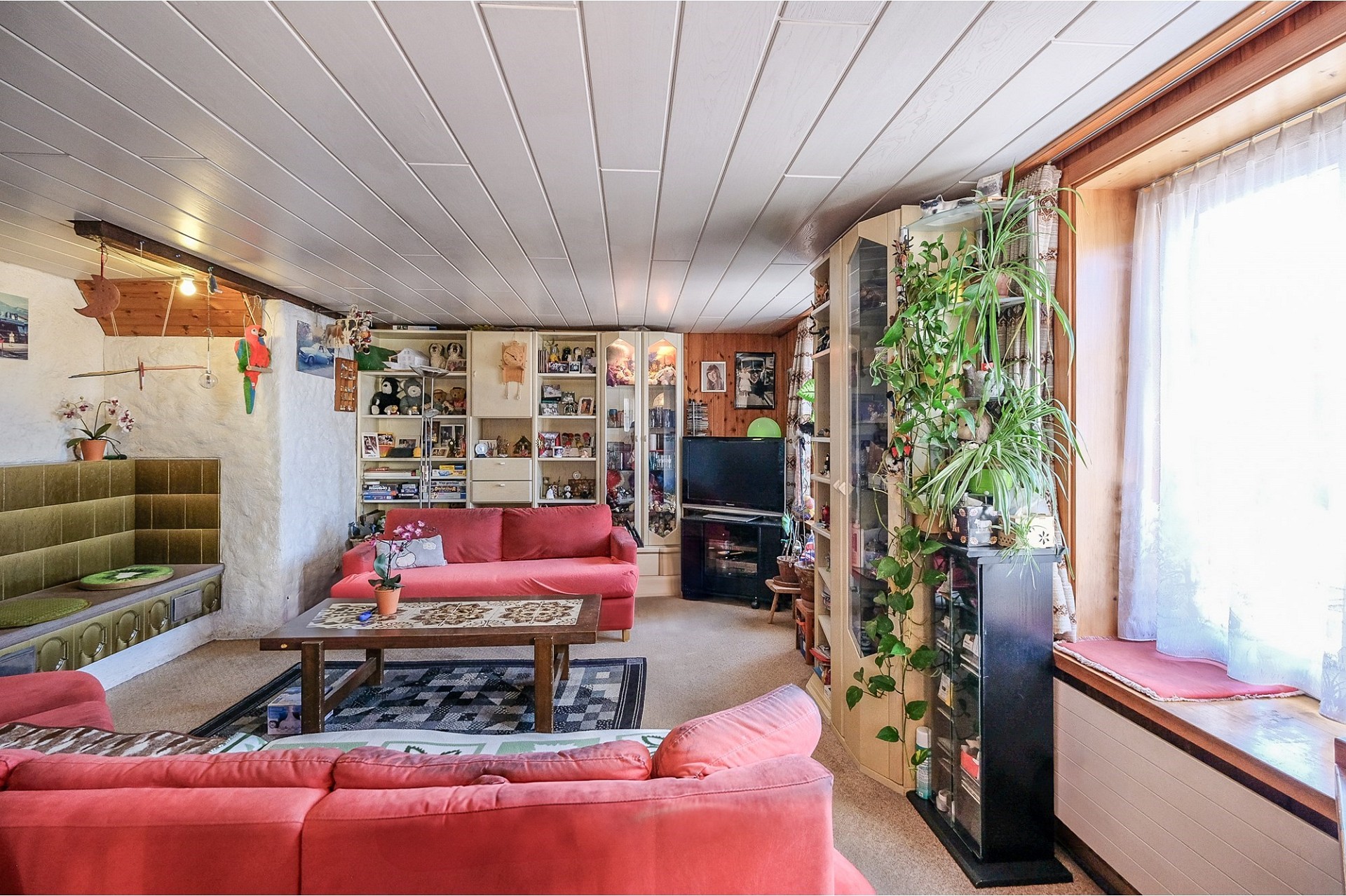 Gemütliches Wohnzimmer mit vielen Regalen und Pflanzen