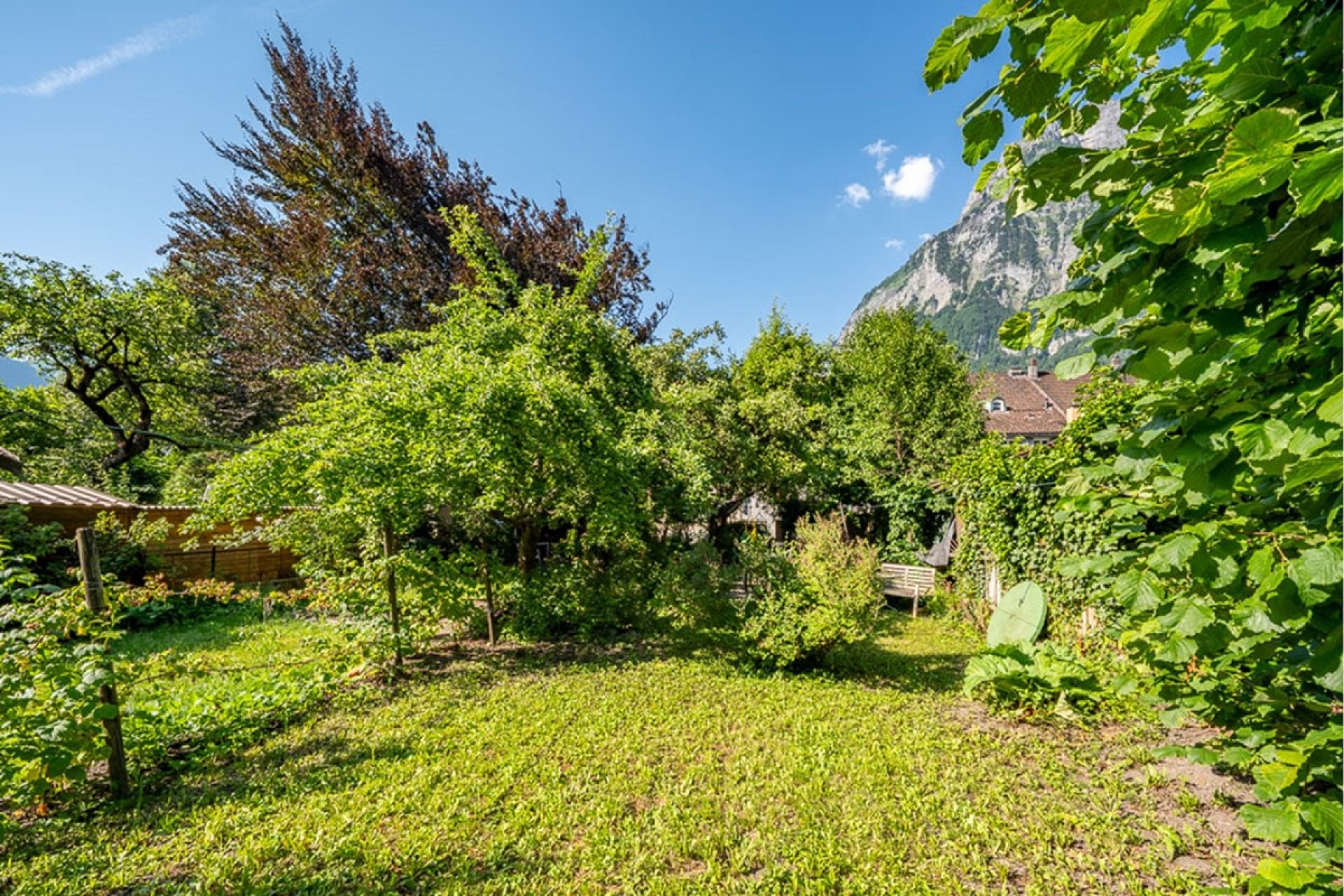 Garten mit Bergblick