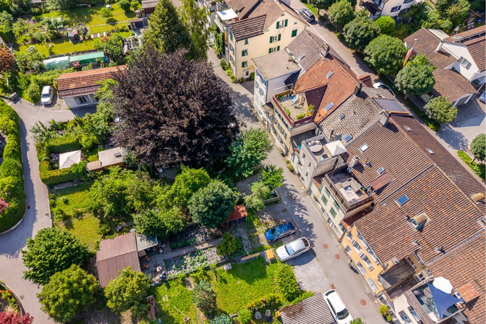 Luftaufnahme eines Wohnviertels mit Gärten und Häusern