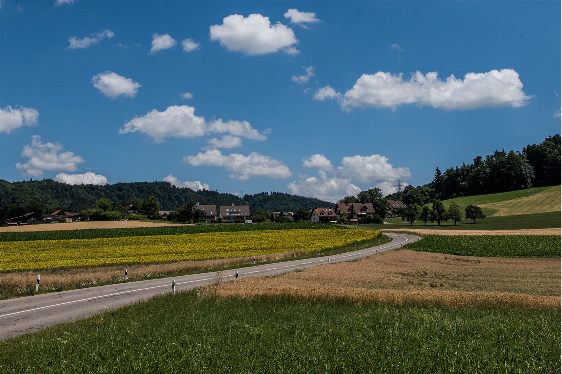 Landschaft mit Feldweg und Dorf im Grünen