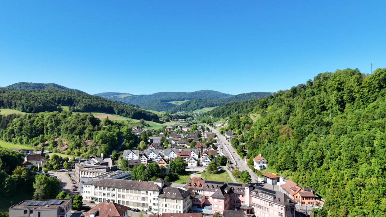 Luftaufnahme eines grünen Talorts