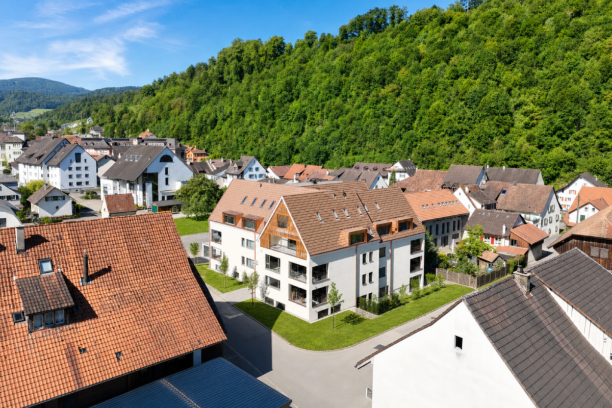 Luftaufnahme eines Wohnviertels am grünen Hang