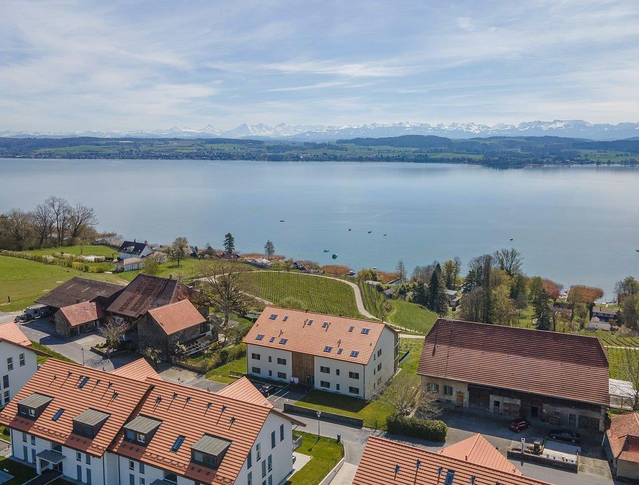 Luftaufnahme eines Seegrundstücks mit Alpenblick