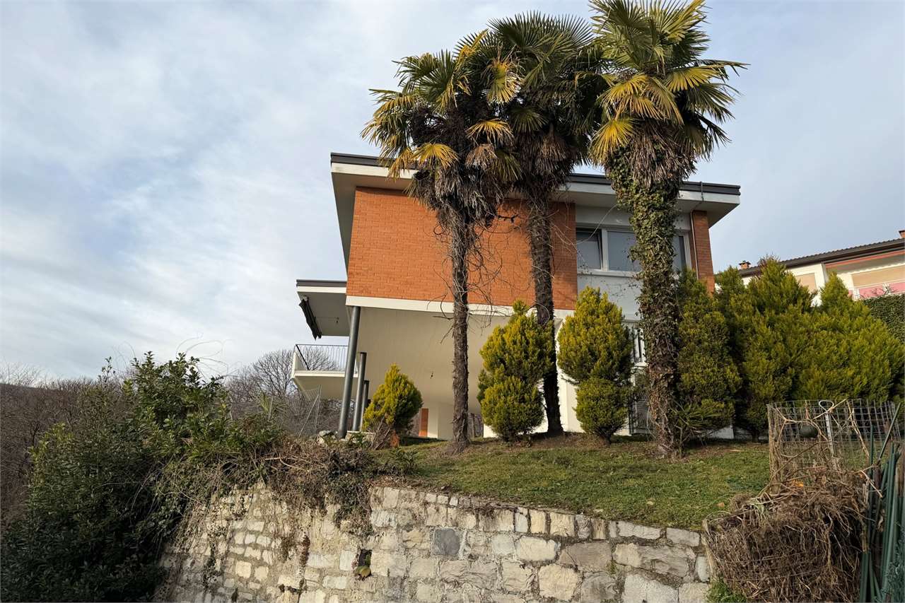 Modernes Haus mit Garten und Palmen