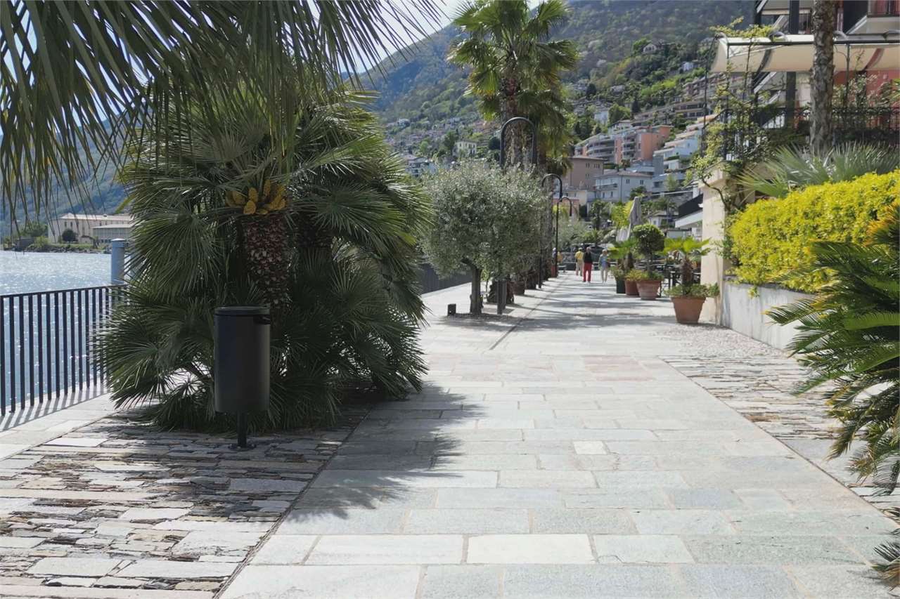 Uferpromenade mit Palmen