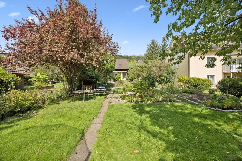 Großer grüner Garten mit Wohnhaus