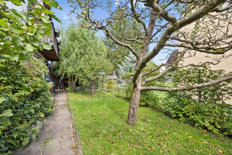 Garten mit Weg und Baum