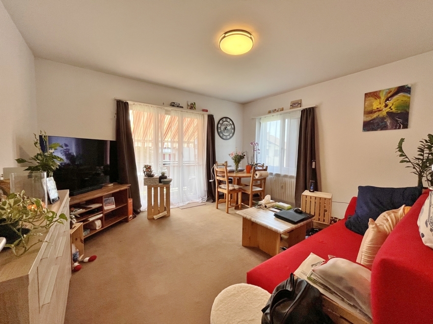 Helles Wohnzimmer mit Essbereich