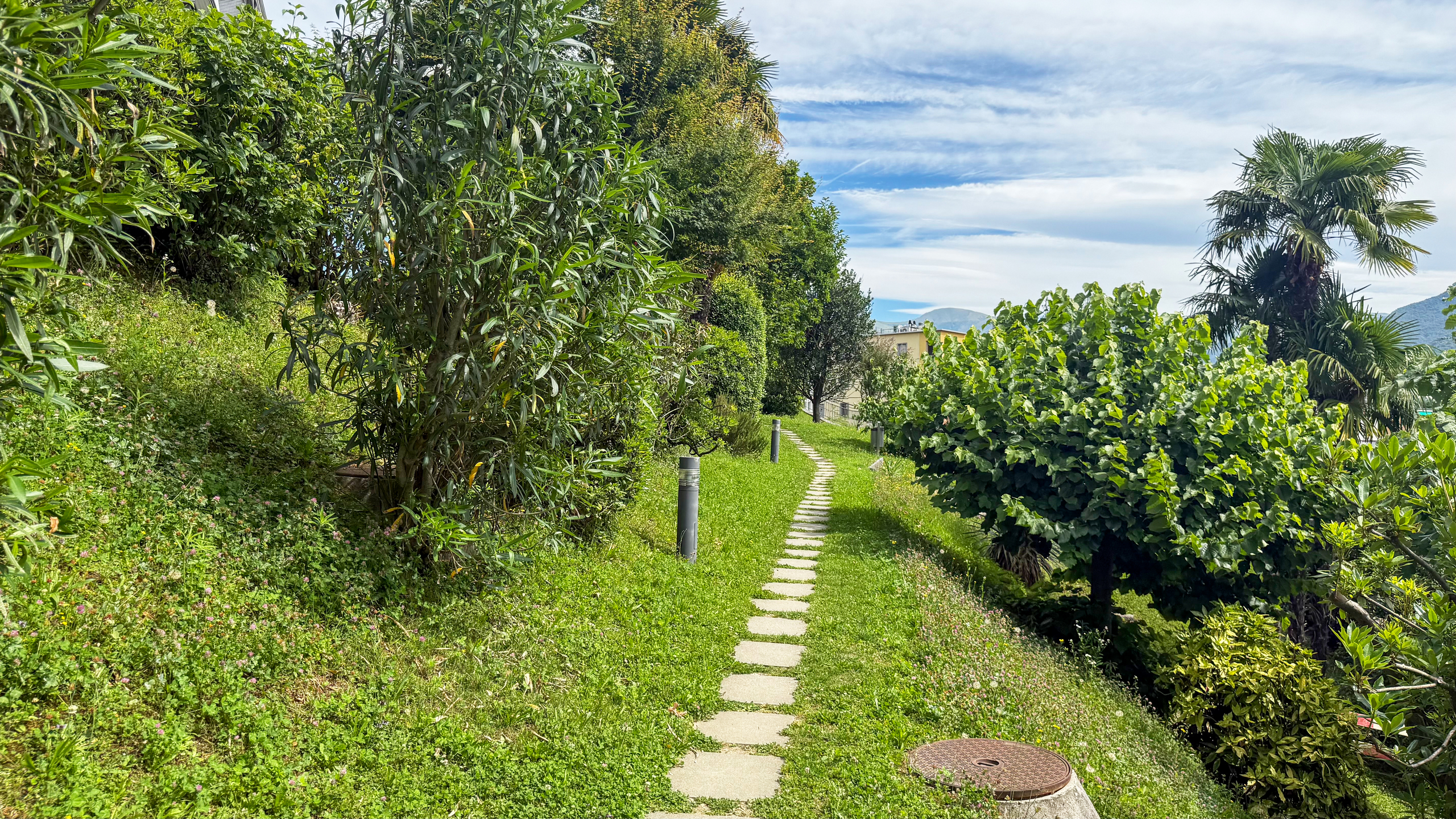 Üppiger Gartenweg mit Tropenbepflanzung