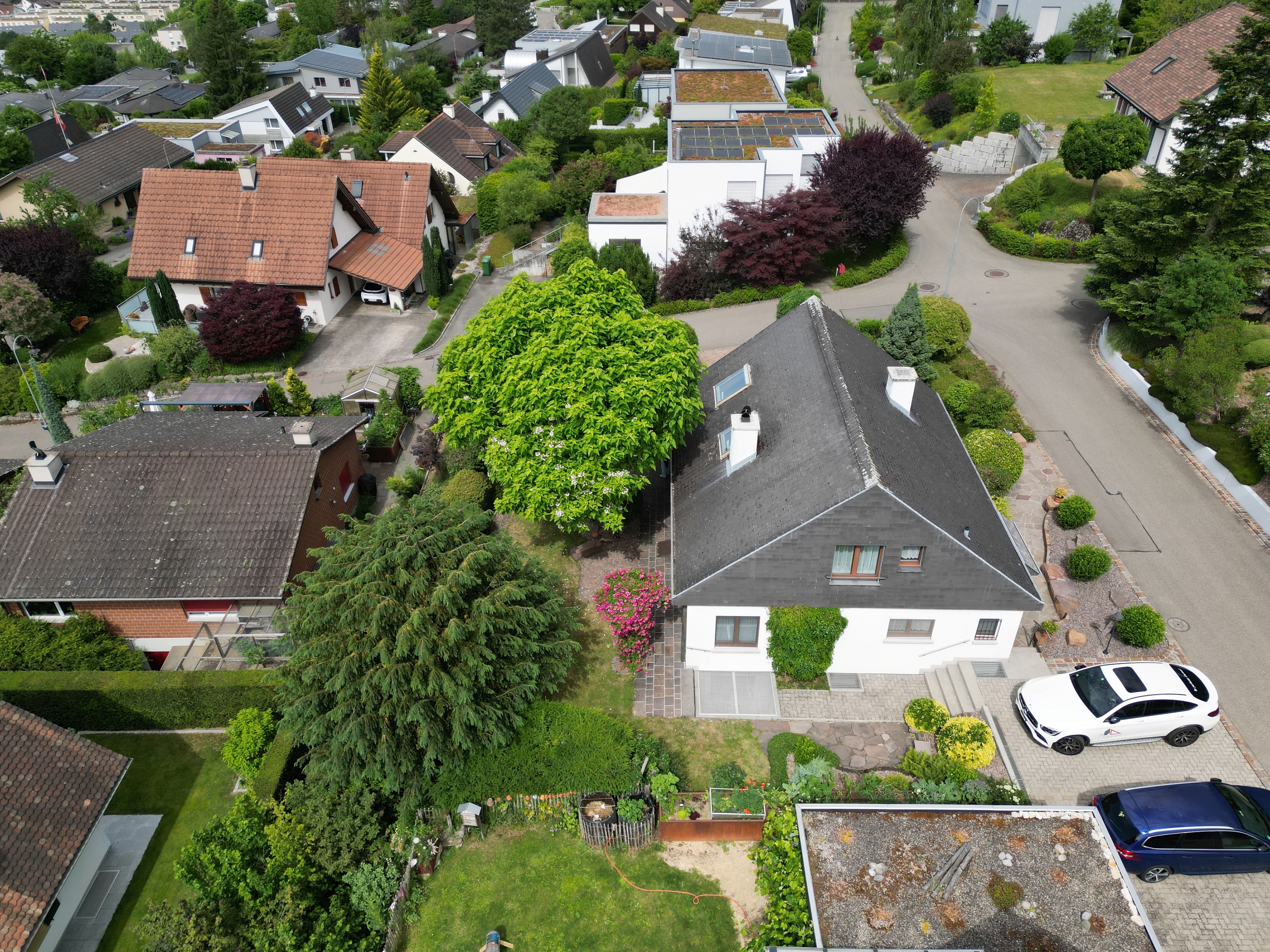 Luftaufnahme eines Wohnviertels mit Einfamilienhäusern