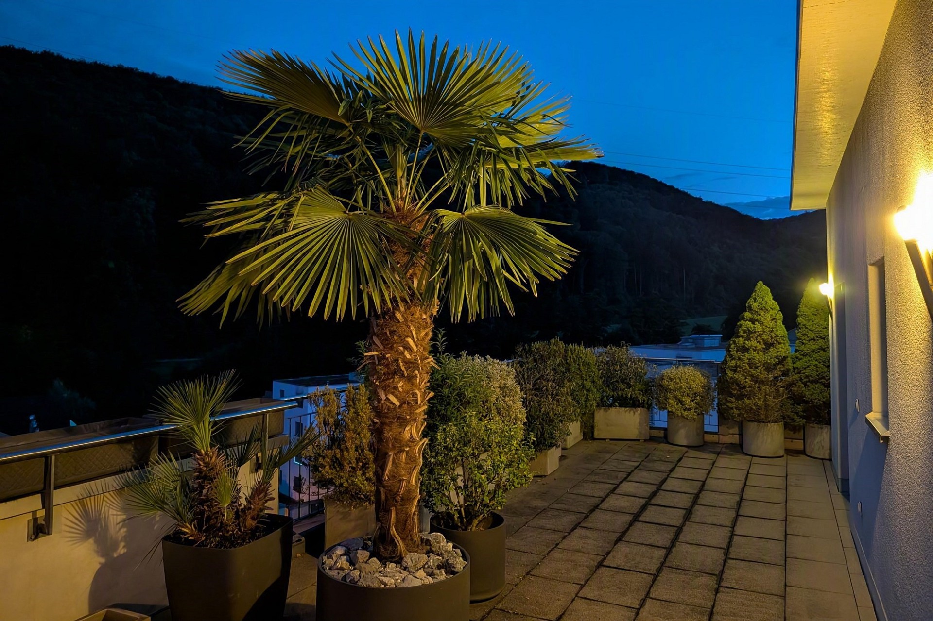 Terrasse bei Nacht mit Palmen und Bergblick