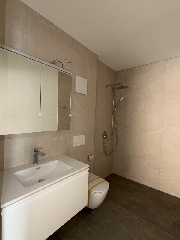 Modernes Badezimmer mit Dusche und Waschtisch