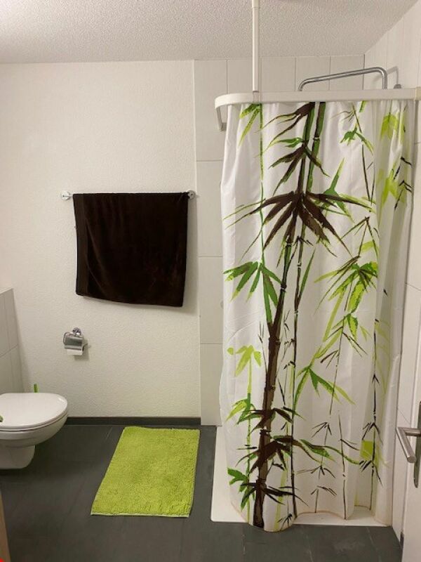 Badezimmer mit Dusche und WC