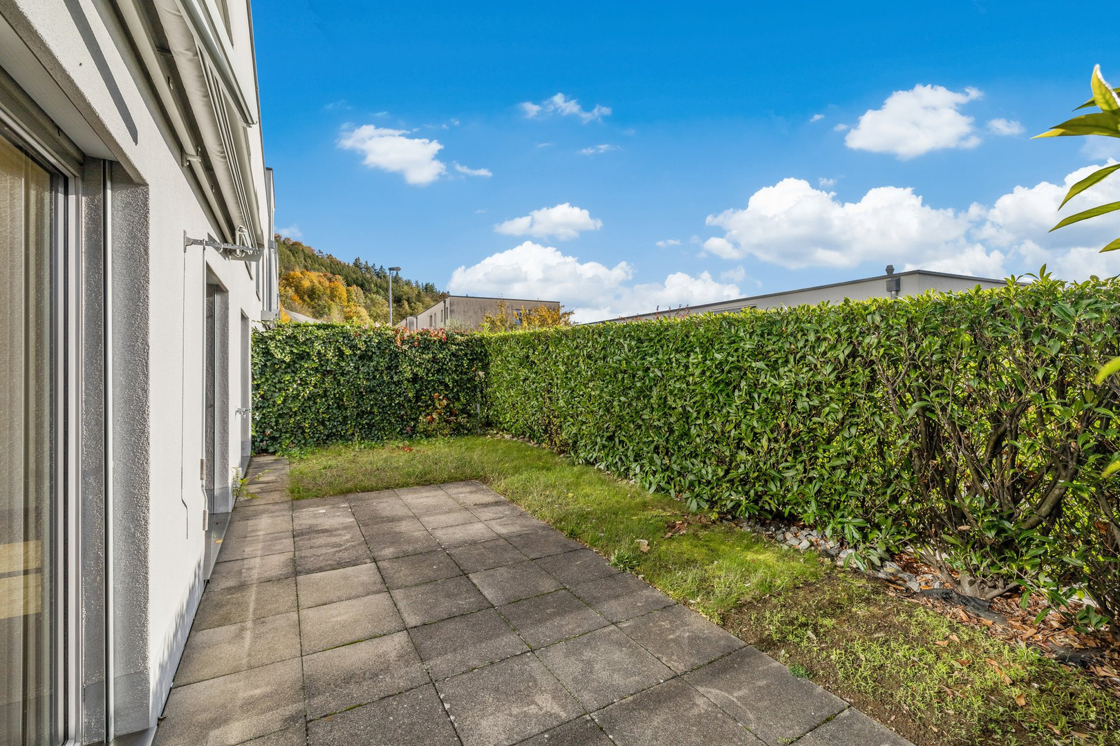 Terrasse mit Garten und Sichtschutzhecke