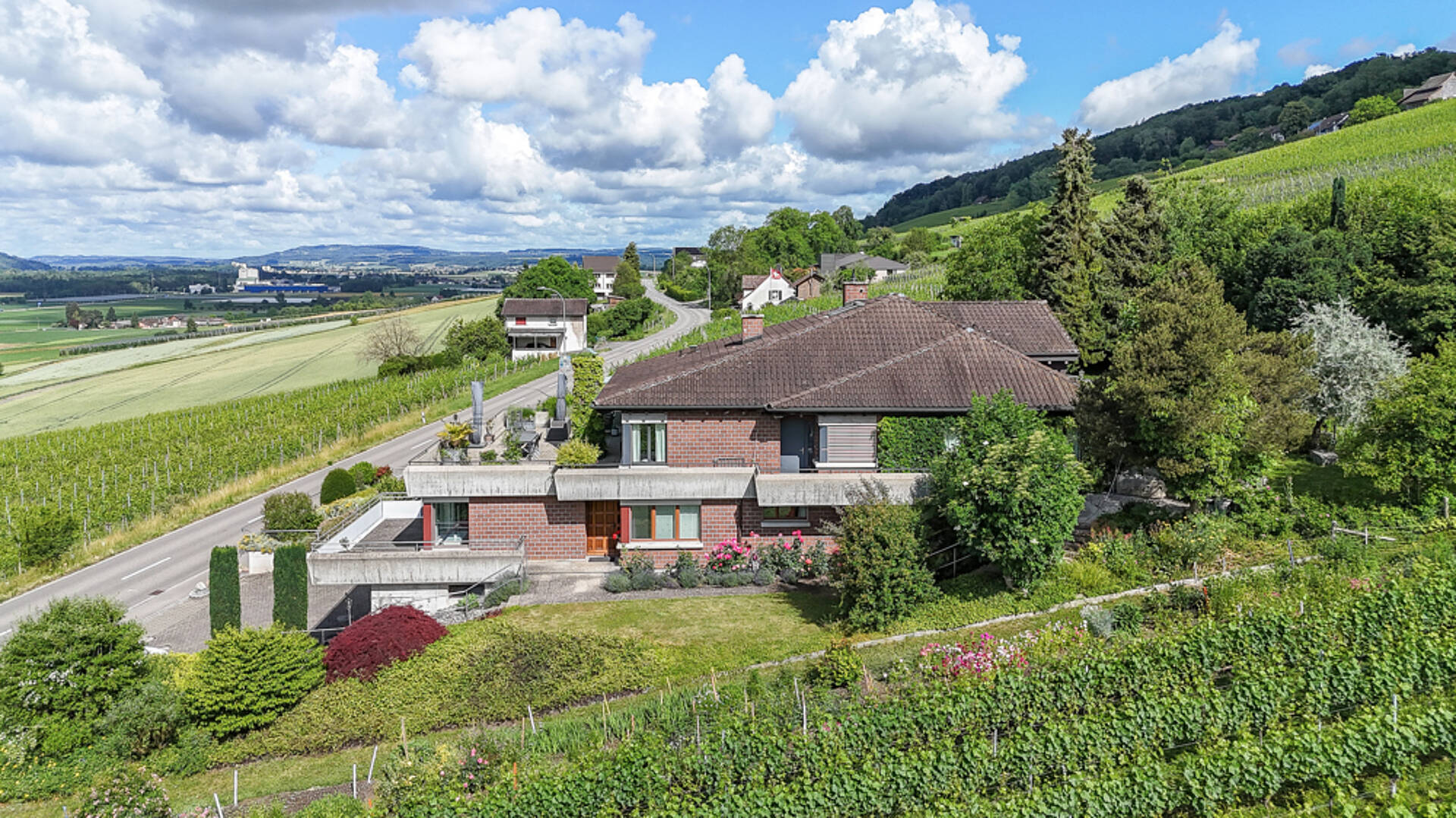 Ländliches Haus mit Weinbergblick