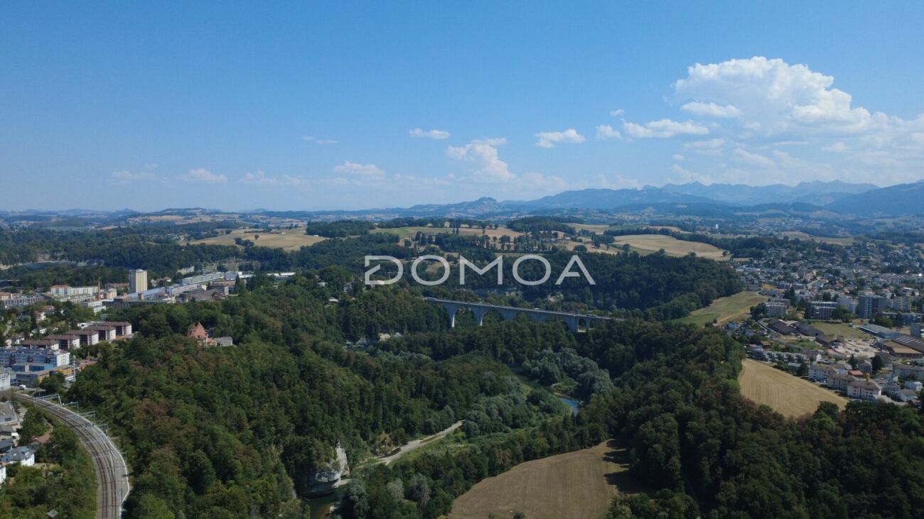 Luftaufnahme einer grünen Talschaft mit Stadt- und Alpenpanorama