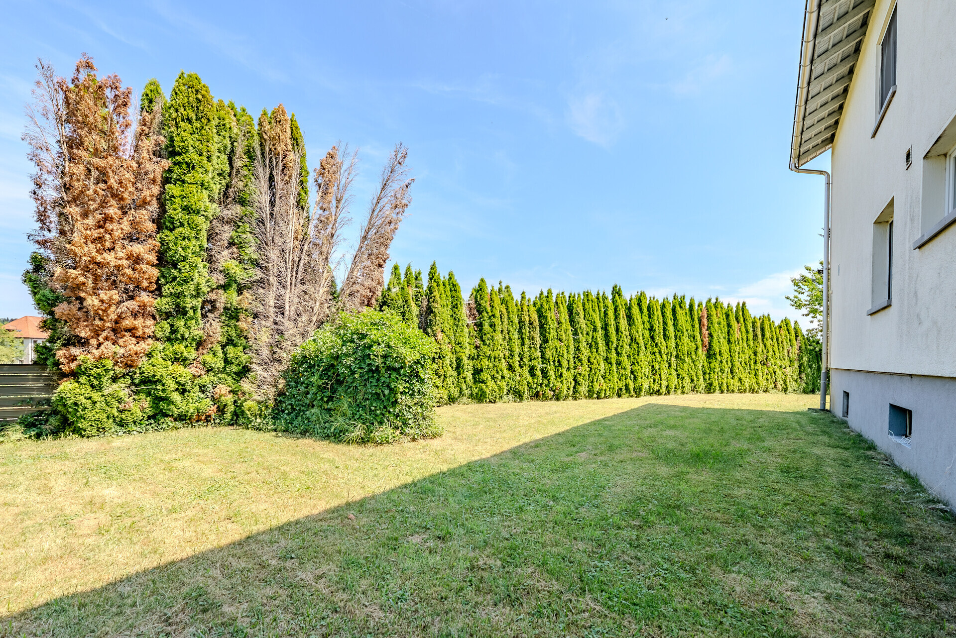 Garten mit Hausfassade