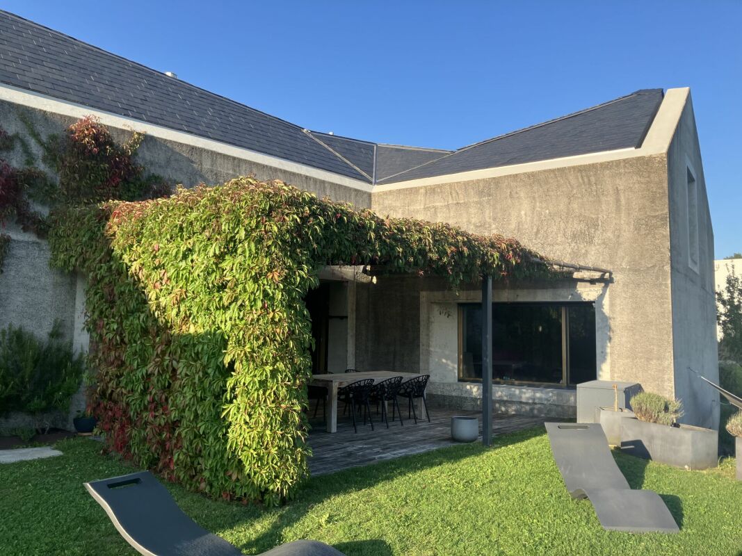 Außenansicht einer modernen Terrasse mit begrüntem Pergola-Bereich