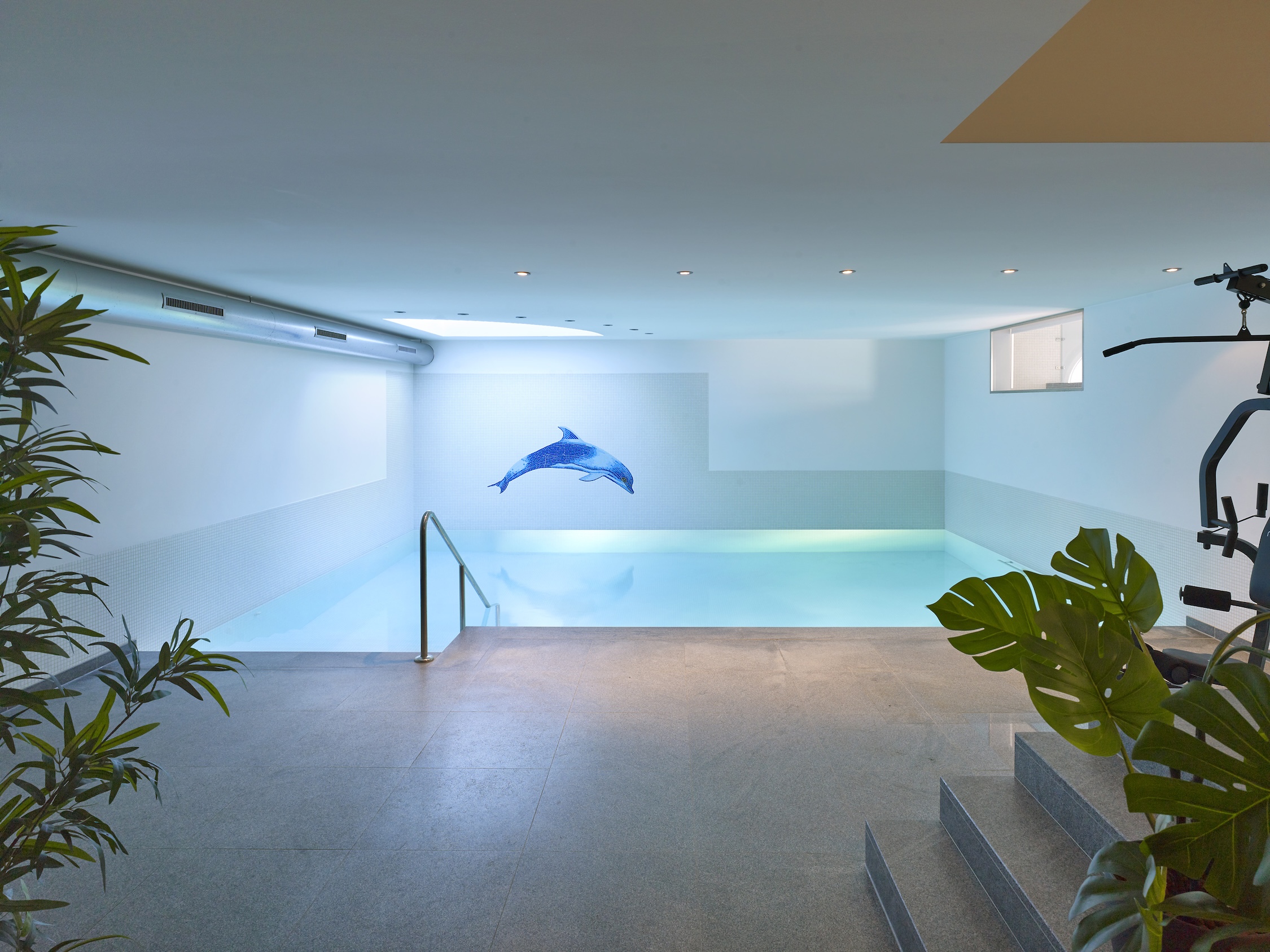 Innenpool mit Delfinwandmotiv