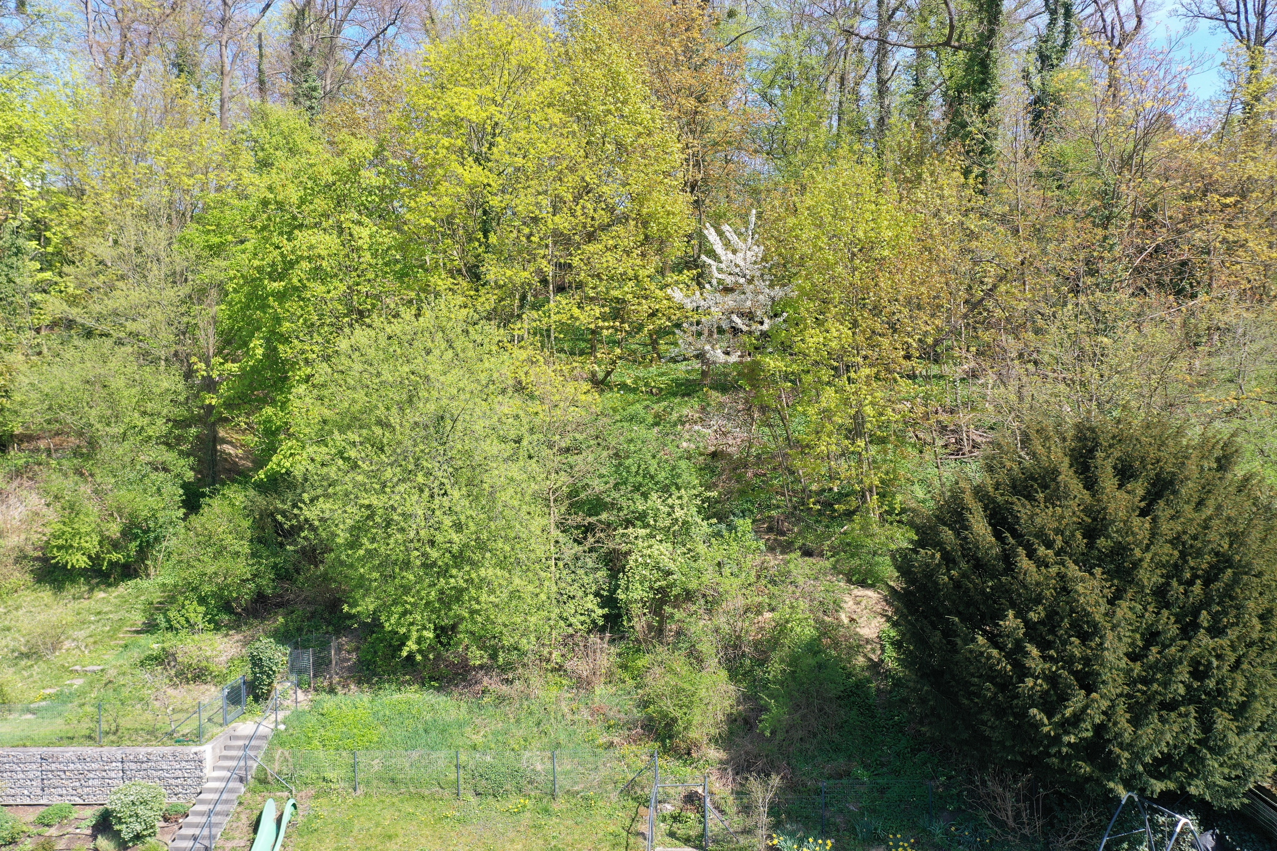 Bewaldeter Gartenhang