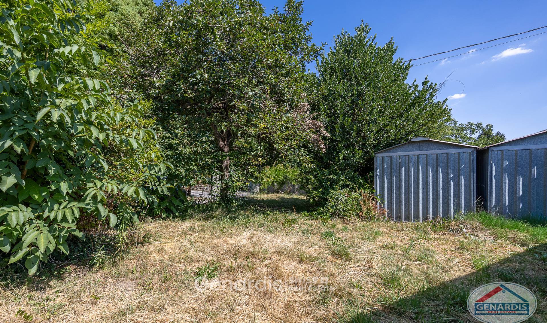 Verwilderter Garten mit Schuppen