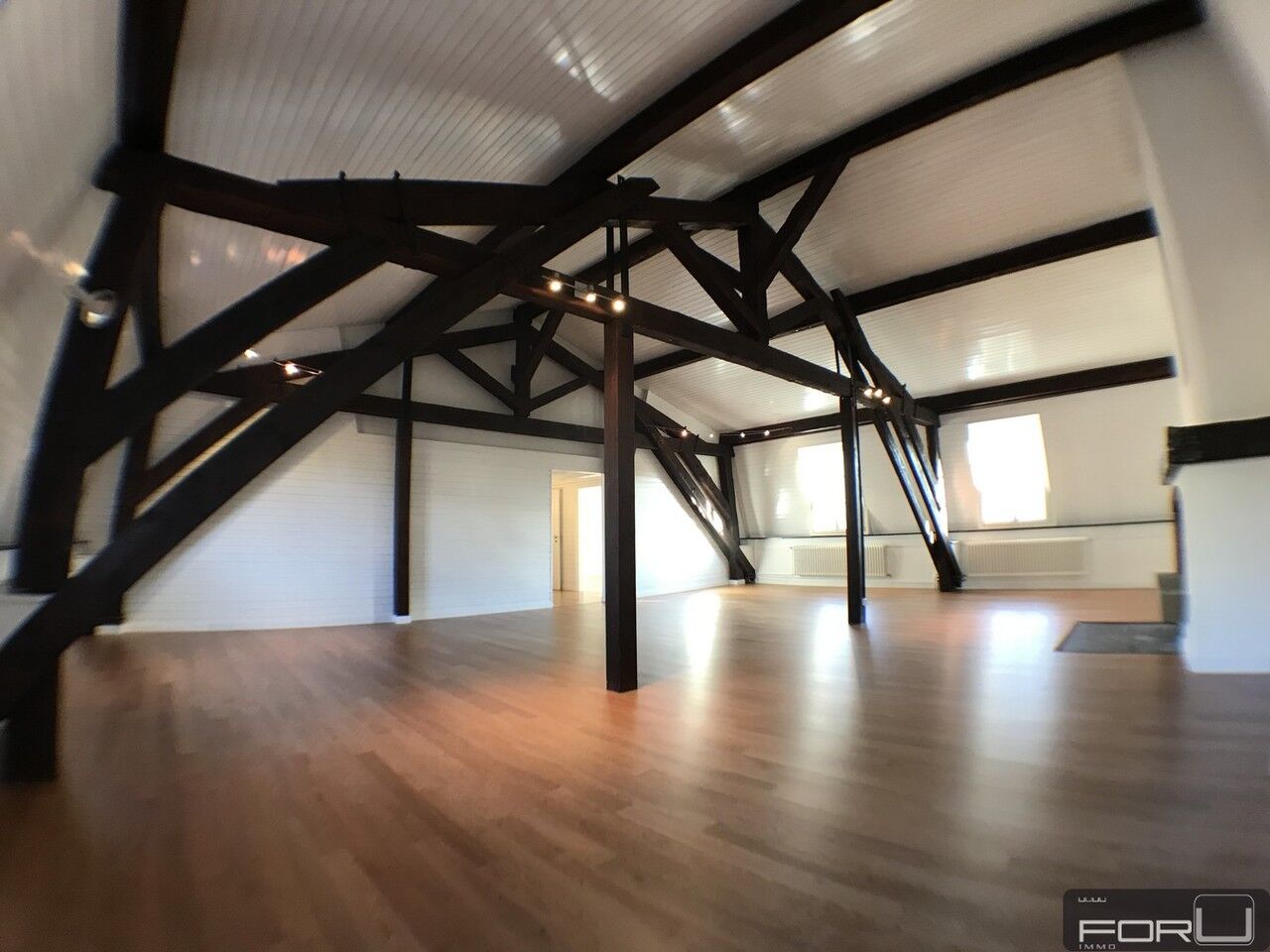 Wunderschönes, großes, atypisches und renoviertes Penthouse in Old Carouge – Carouge GE